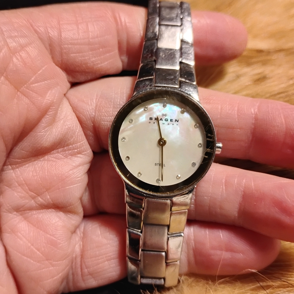 Ladies Skagen Watch